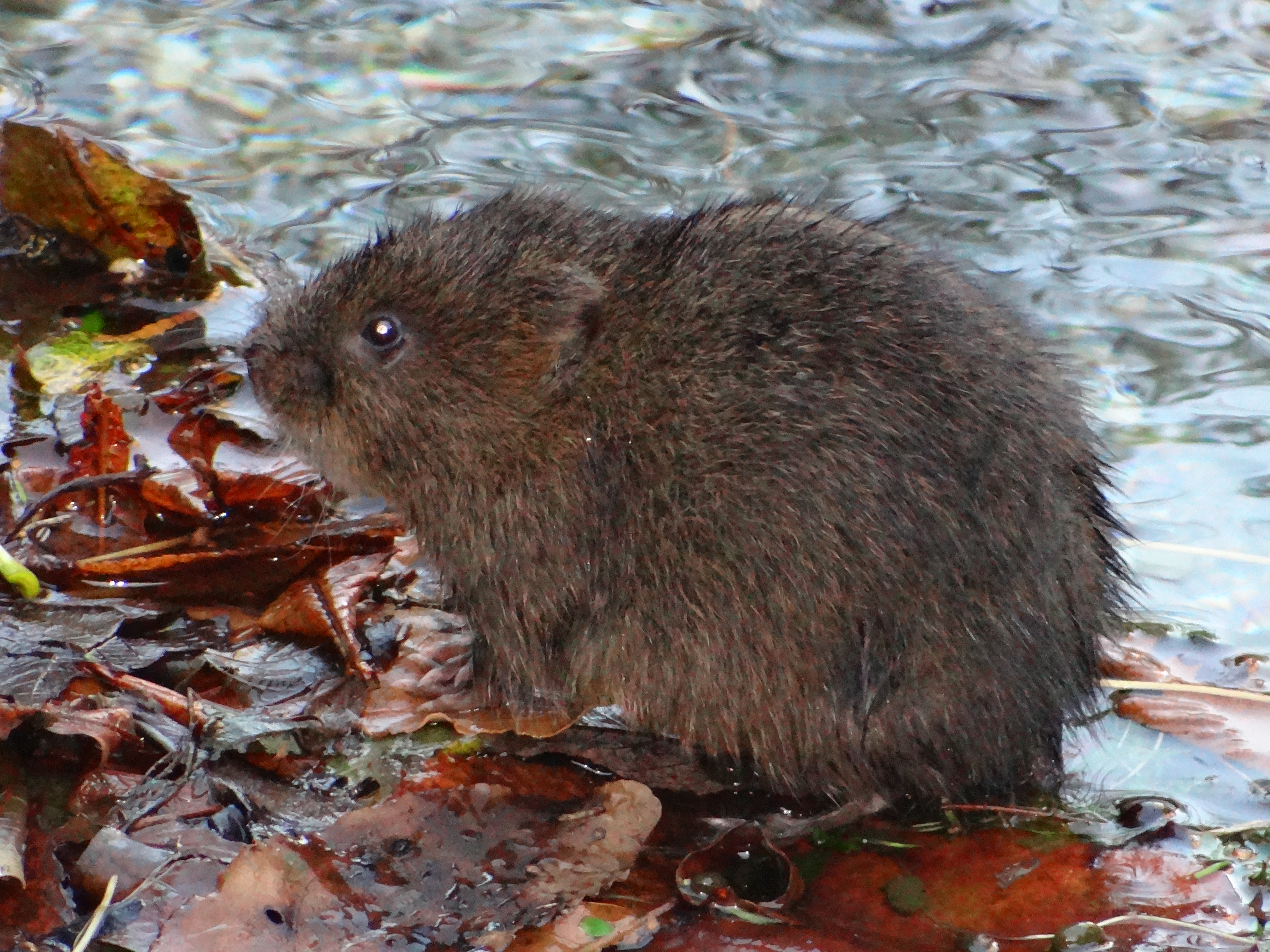 Photograph: DSC01190.JPG