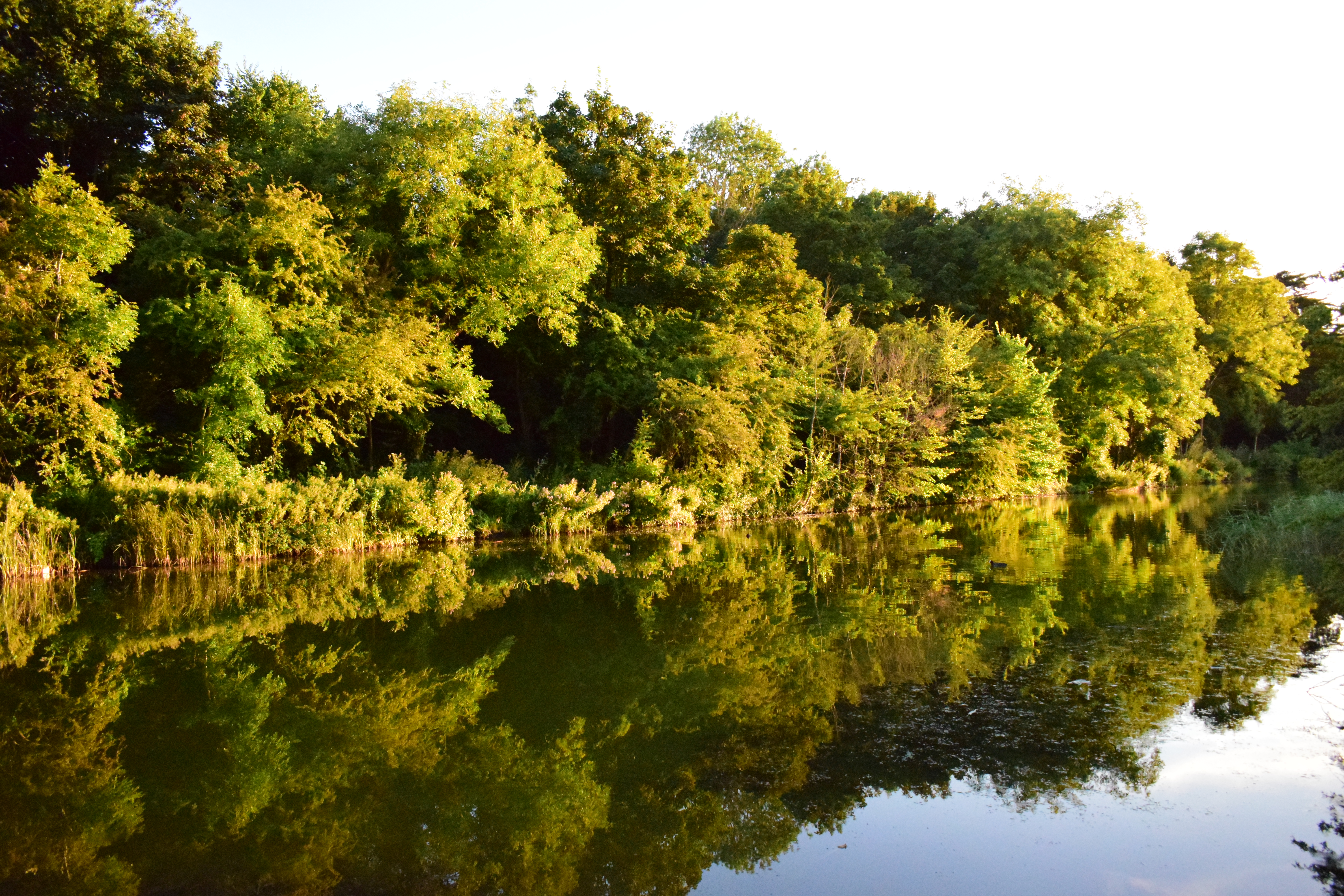 Photograph: DSC_0001_(2).JPG