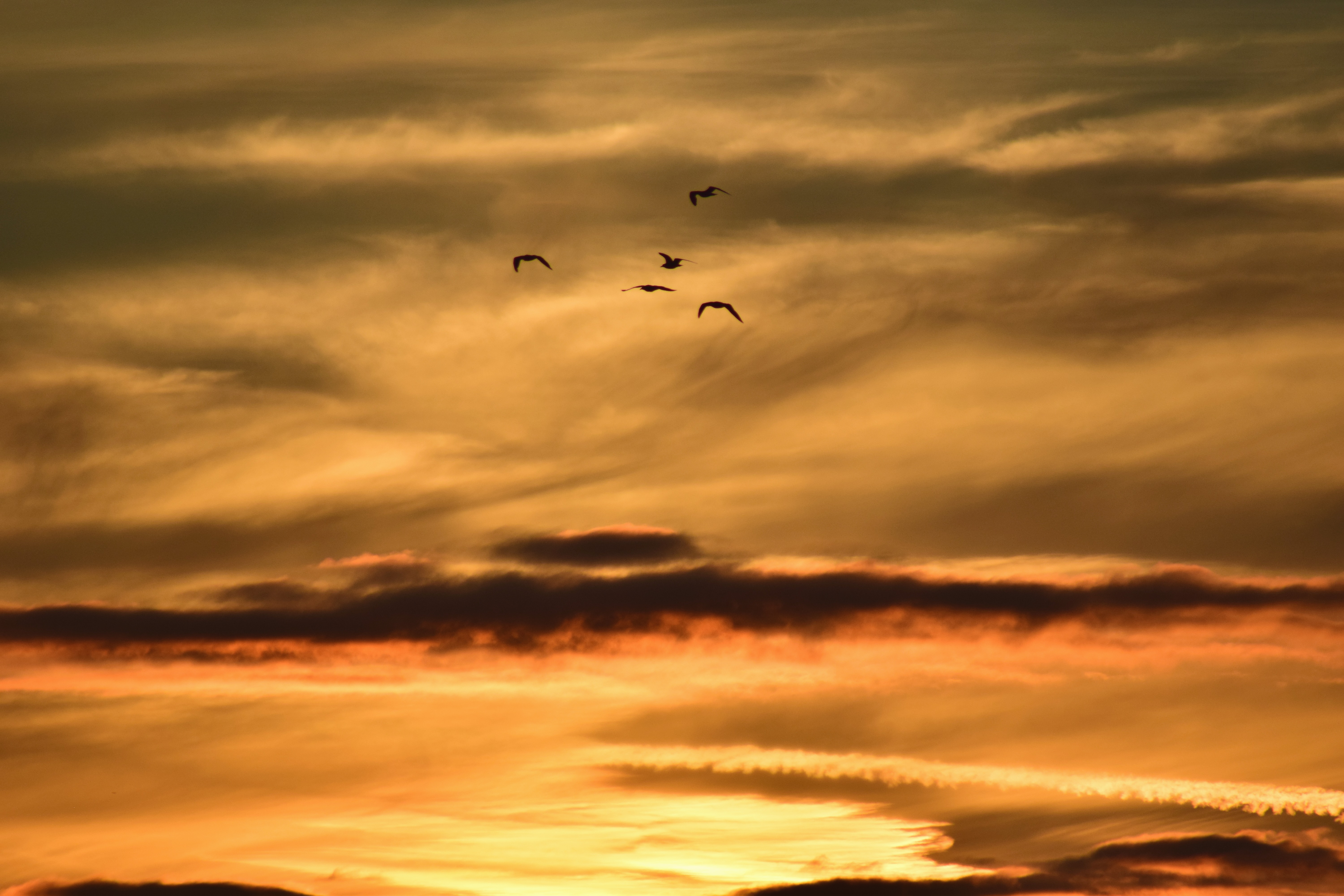 Photograph: DSC_0040.JPG