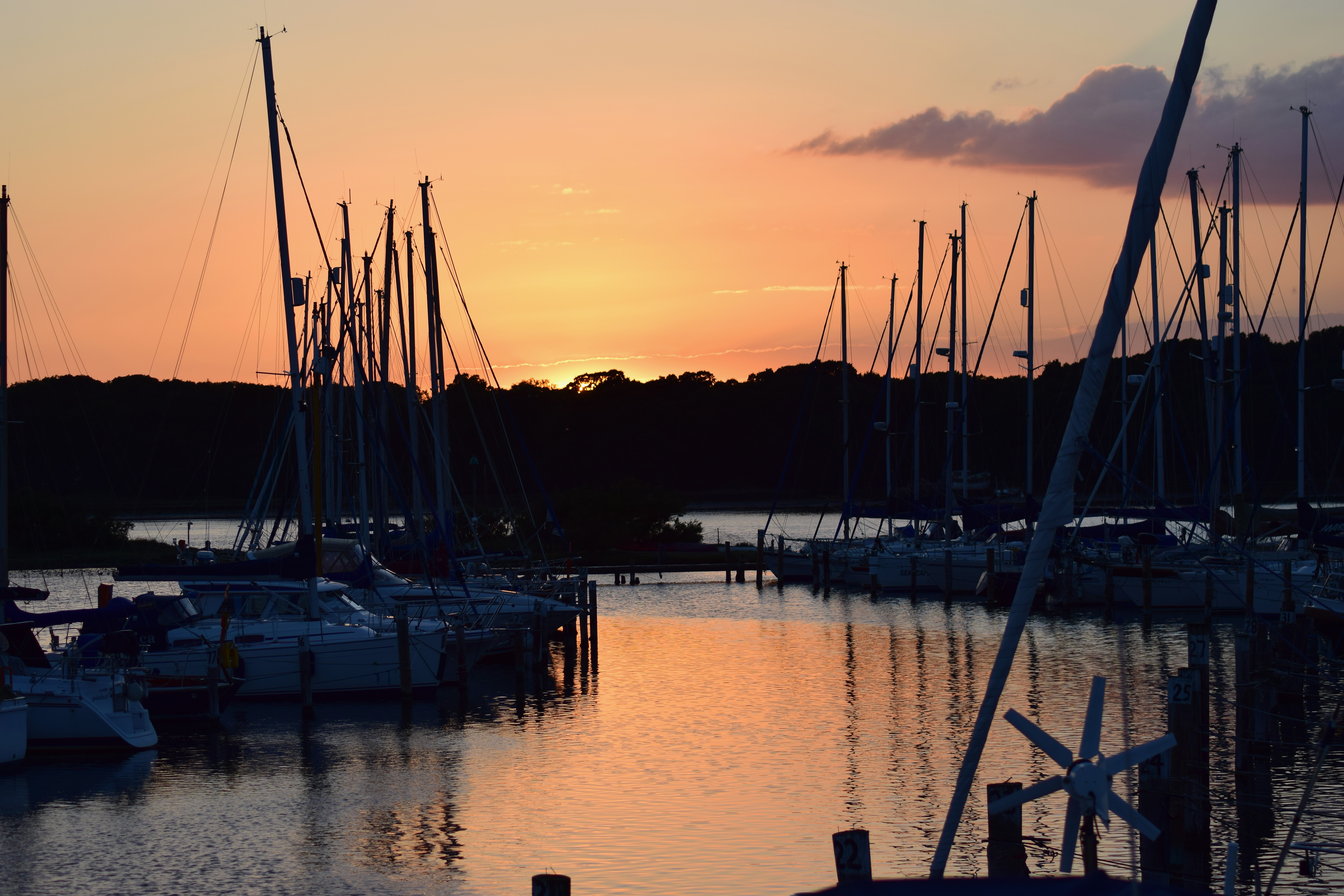 Photograph: DSC_0064_(6).JPG