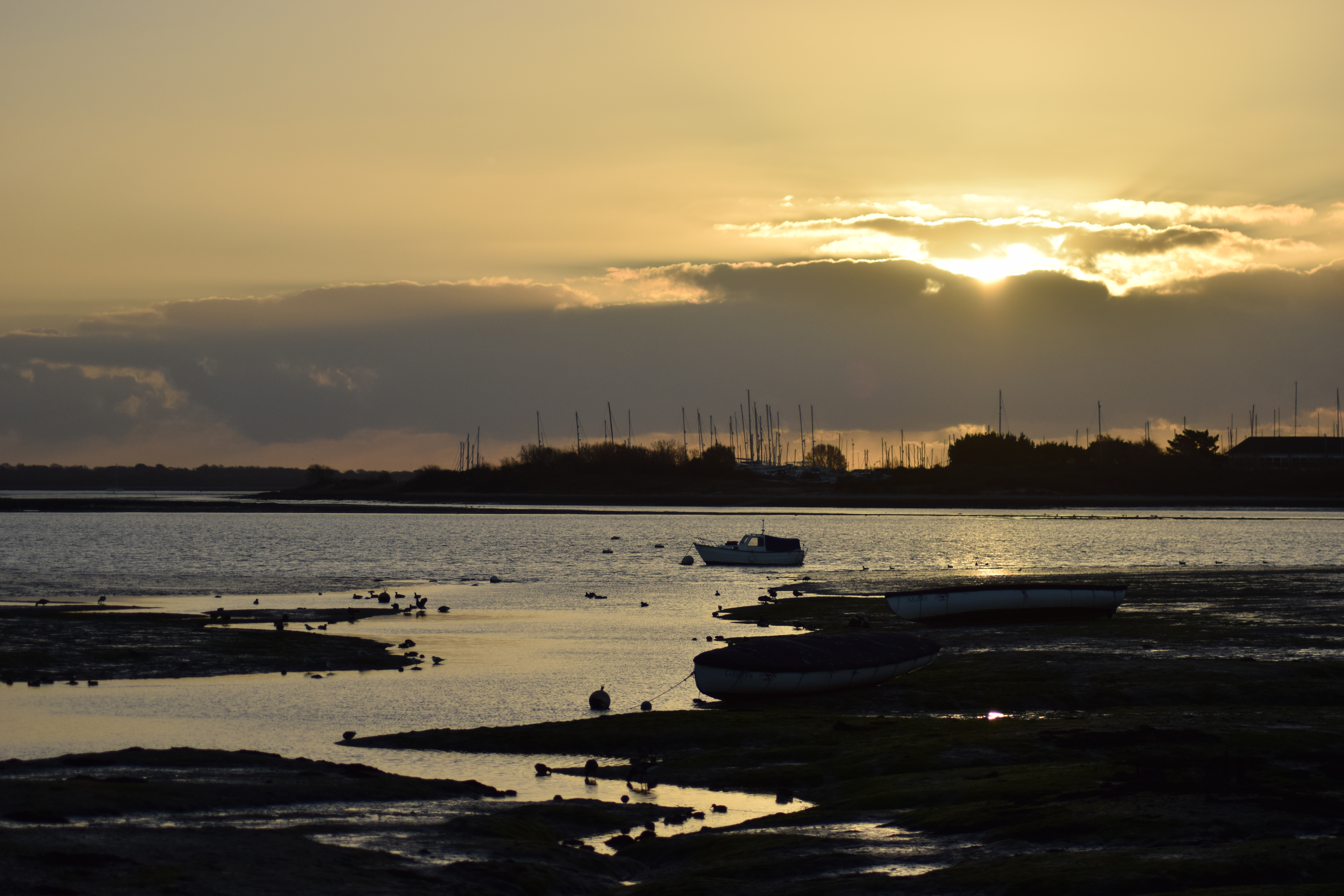 Photograph: DSC_2306.JPG