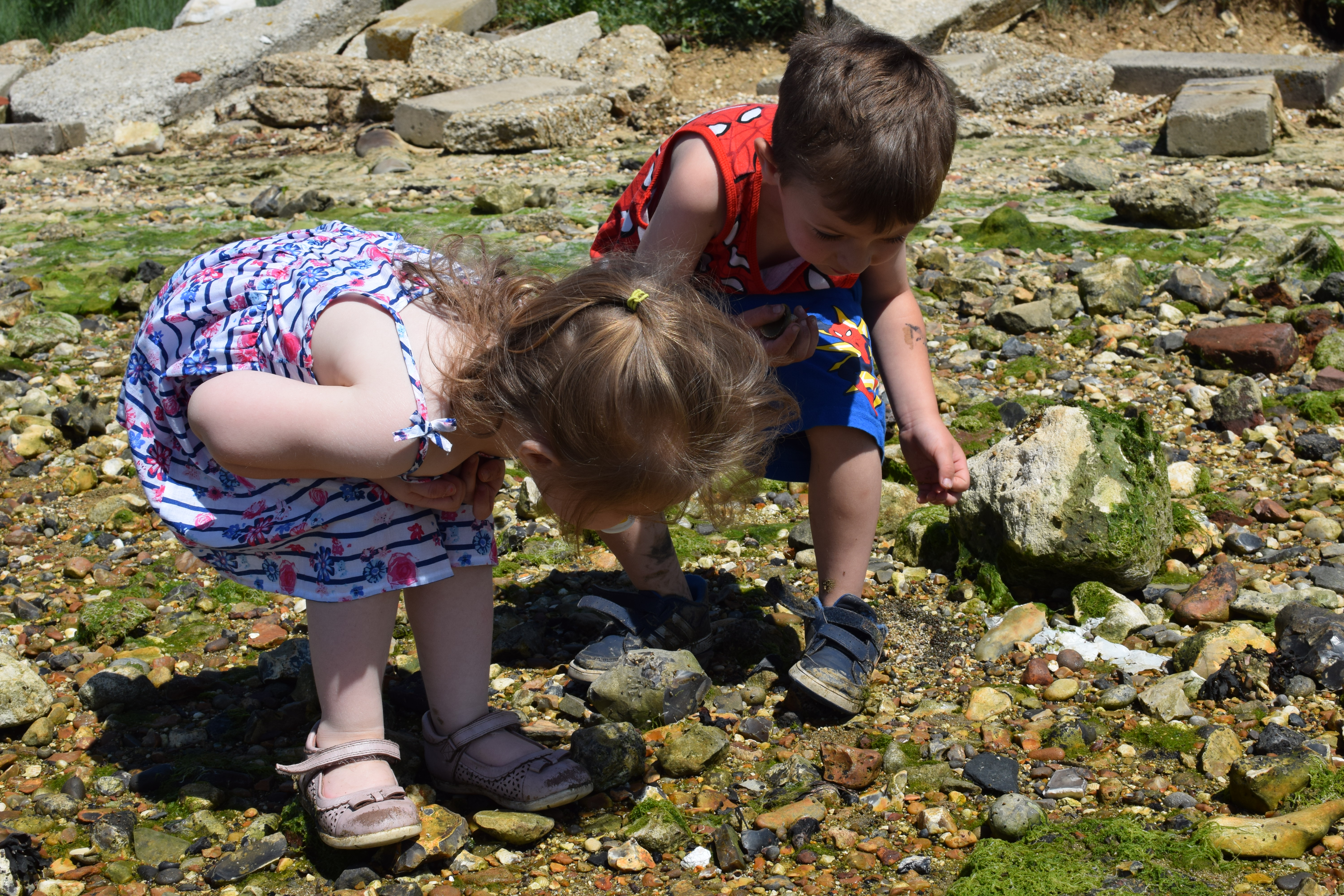 Photograph: DSC_2346.JPG