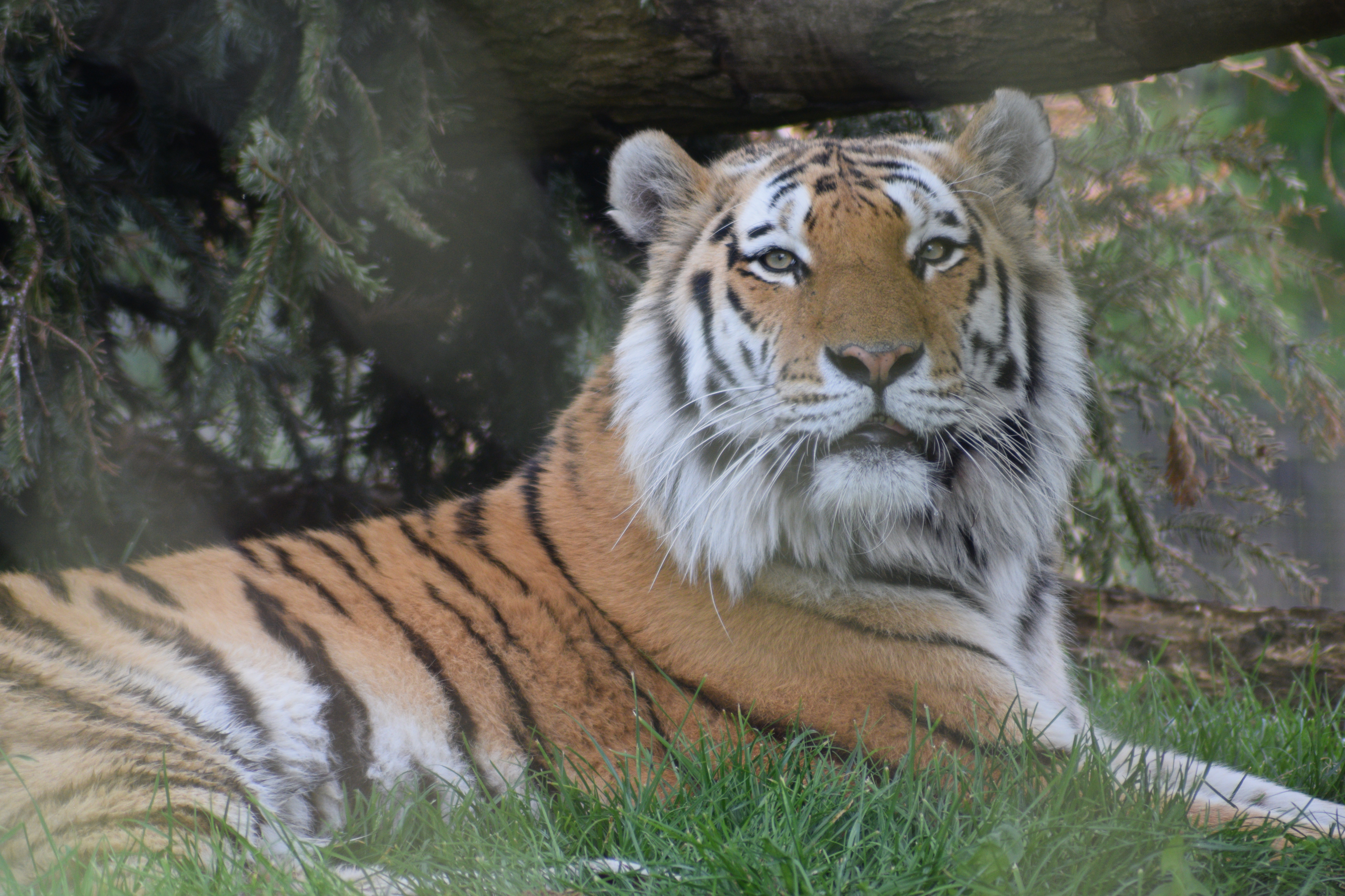 Photograph: DSC_3957.JPG