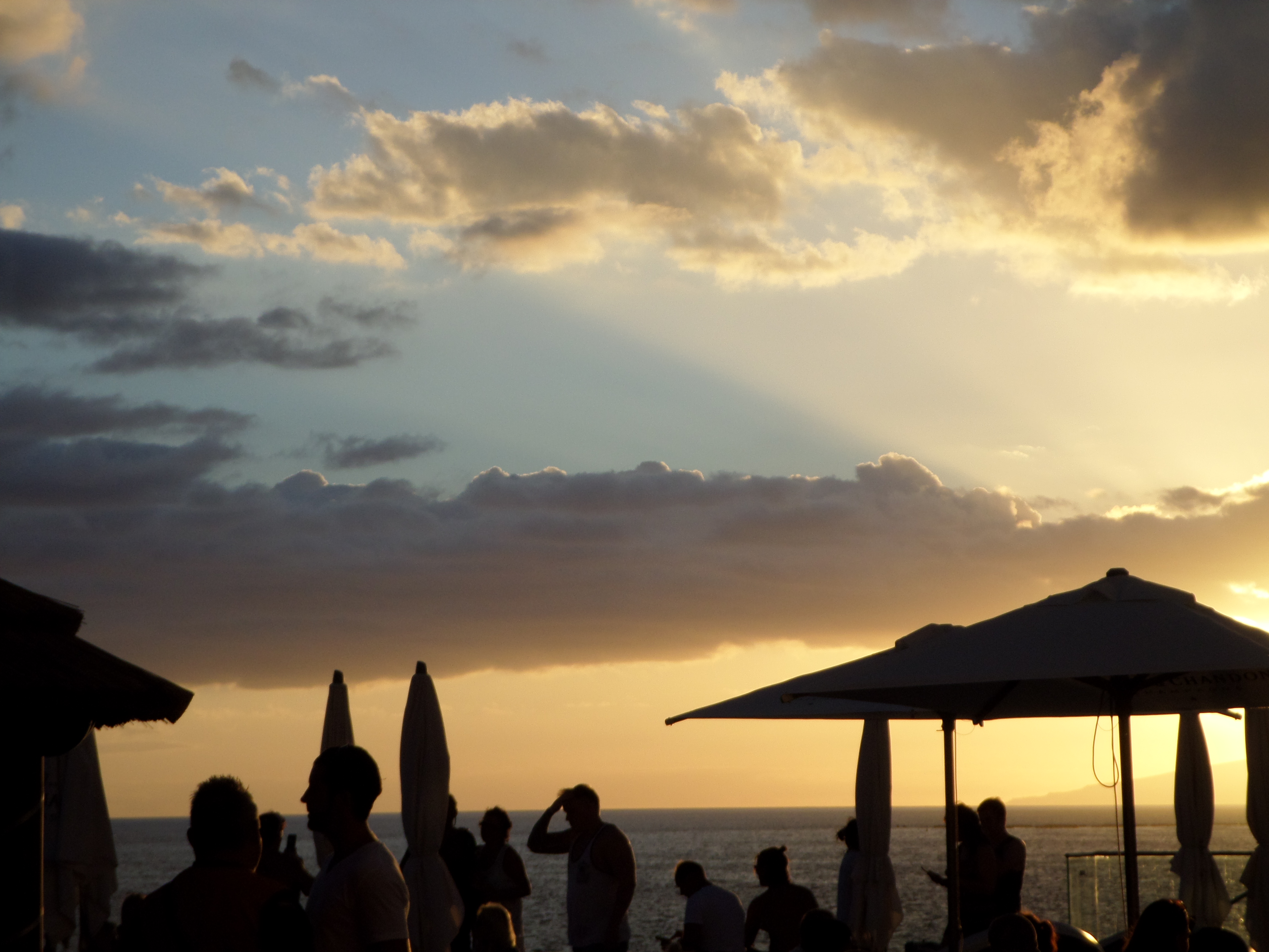 Photograph: SAM_0177.JPG