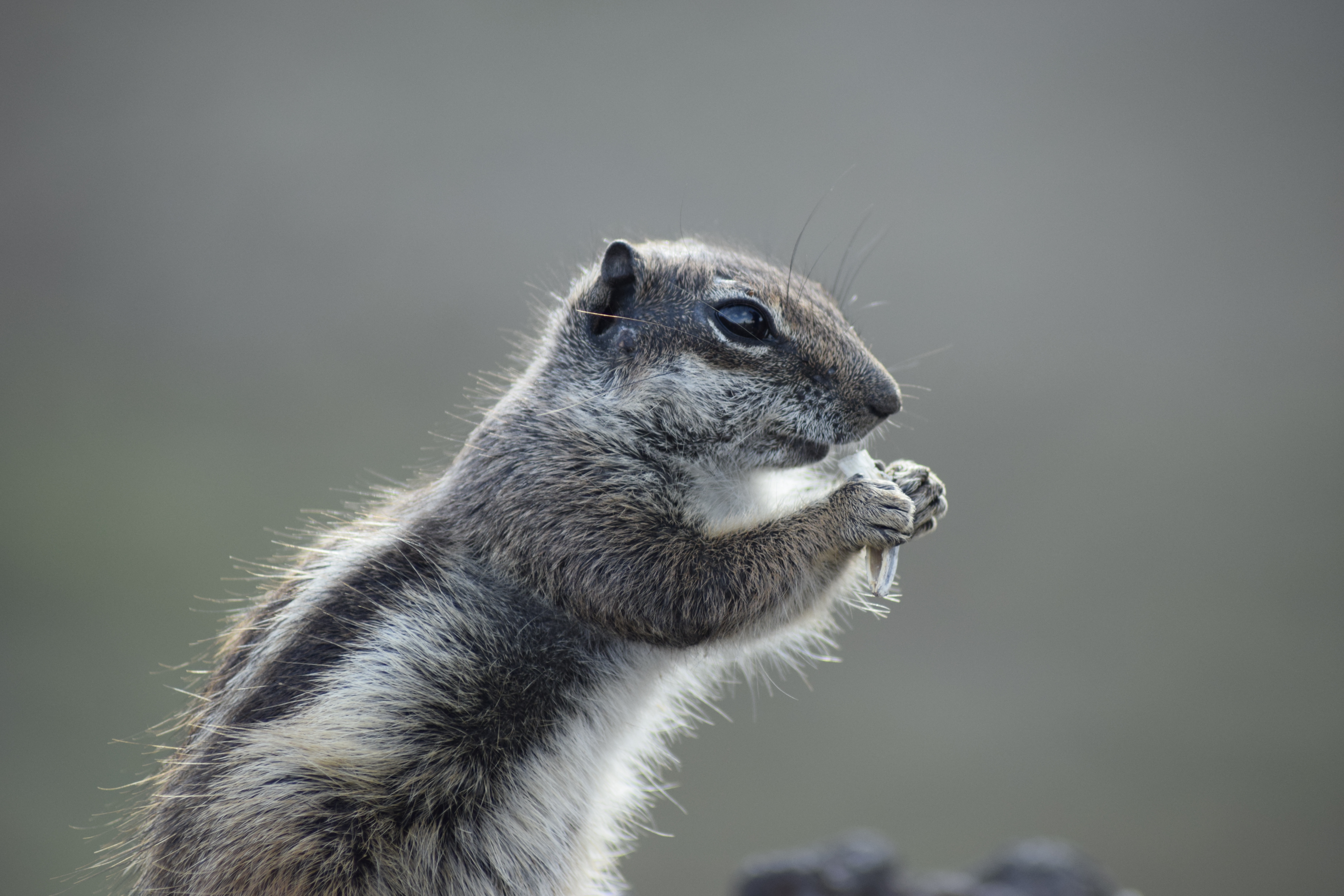 Photograph: _DSC0038.JPG